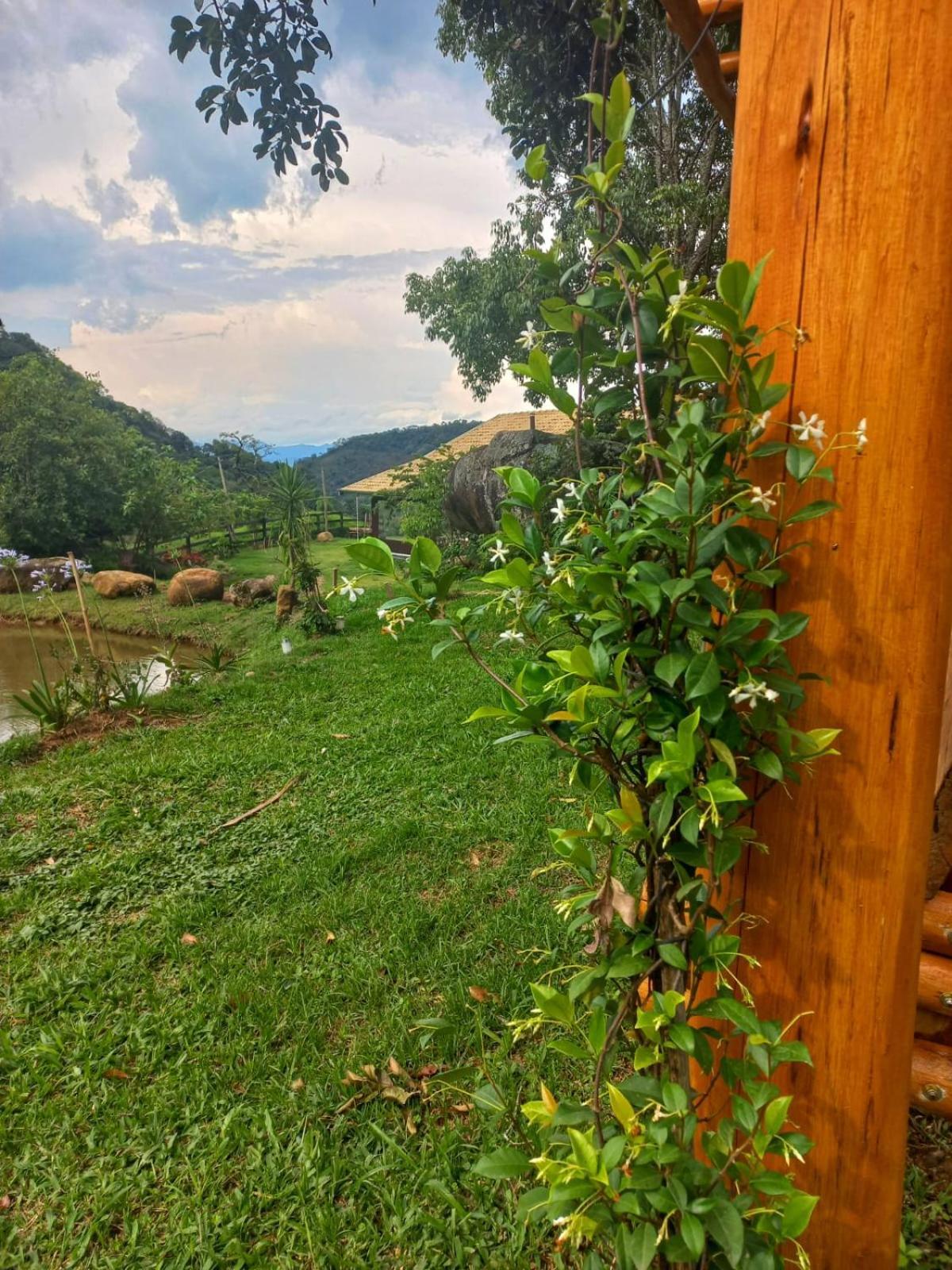 Chale Araucaria- Vale Das Pedras Mg Sapucaí-Mirim Zewnętrze zdjęcie